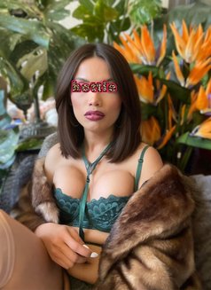 TS CHEETARA IN BRISBANE, HONEY - Acompañantes transexual in Brisbane Photo 16 of 16