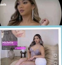 Asian Sexy companion Michelle - Transsexual escort in Hamilton, Canada