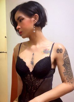 TS Chen VERSATILE - Transsexual escort in Kuala Lumpur Photo 24 of 25