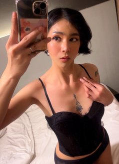 TS Chen VERSATILE - Transsexual escort in Kuala Lumpur Photo 12 of 17