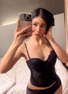 TS Chen VERSATILE - Transsexual escort in Kuala Lumpur Photo 13 of 17