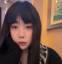 香港ts 安妮儿 - Acompañantes transexual in Hong Kong