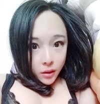 Ts Comey - Transsexual escort in Chengdu