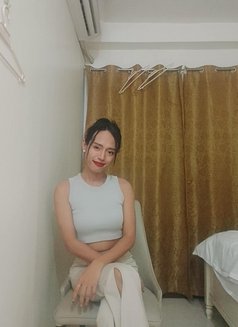 Ts Daniela Big Tools - Acompañantes transexual in Makati City Photo 1 of 7
