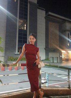 Ts Daniela Big Tools - Transsexual escort in Manila Photo 11 of 11