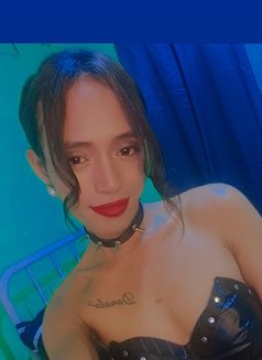 Ts Daniela Big Tools - Transsexual escort in Manila Photo 9 of 20
