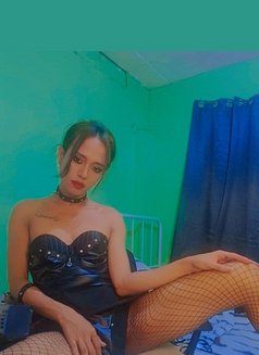 Ts Daniela Big Tools - Transsexual escort in Manila Photo 10 of 20