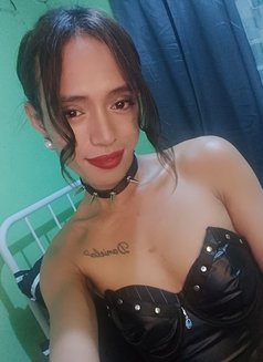 Ts Daniela Big Tools - Transsexual escort in Manila Photo 11 of 20