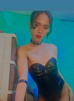 Ts Daniela Big Tools - Transsexual escort in Manila Photo 12 of 20