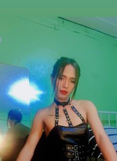 Ts Daniela Big Tools - Transsexual escort in Manila Photo 14 of 20