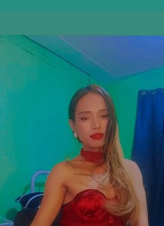 Ts Daniela Big Tools - Transsexual escort in Manila Photo 18 of 20