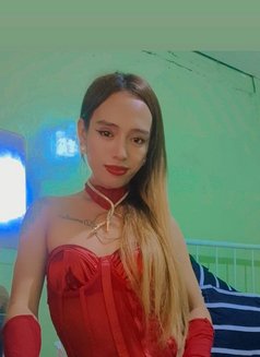 Ts Daniela Big Tools - Transsexual escort in Manila Photo 20 of 20