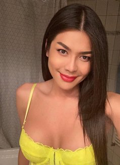 Ts’davika Thailand Top - Acompañantes transexual in Okinawa Island Photo 7 of 16