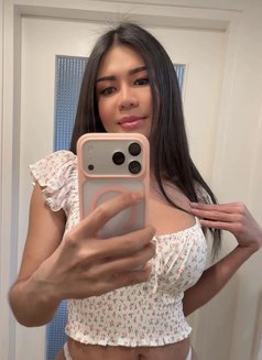 Ts’davika Thailand Top - Acompañantes transexual in Okinawa Island Photo 15 of 16