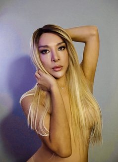 Ts Dayana - Transsexual escort in Haifa Photo 29 of 29