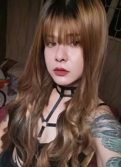 Ts Dhanny Full Functional in Town - Transsexual escort in Manila Photo 17 of 22