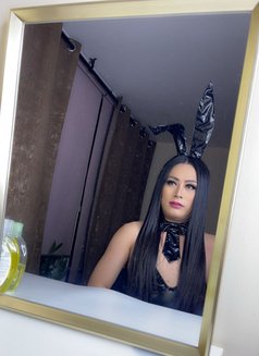 Ts dollly hard top - Transsexual escort in Abu Dhabi Photo 15 of 21