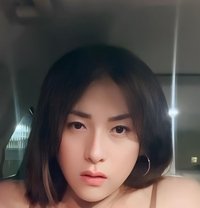 Ts vers Asian - Transsexual escort in Singapore