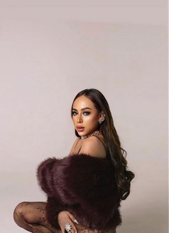 TS DOMINATRIX BIG DICK TOP VERSATILE - Transsexual dominatrix in Jakarta Photo 11 of 11