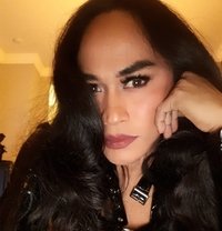 Ts Dominique - Transsexual escort in Frankfurt