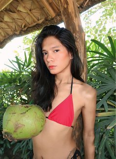 Ts Escort for Hire Meet and Camshow - Transsexual escort in Makati City Photo 3 of 4