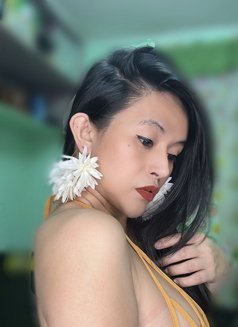 TS FANTASIA - Acompañantes transexual in Manila Photo 18 of 19