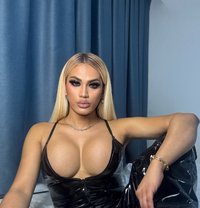 TS FOR HOTSEX AND PARTY GANGBANG CAMSHOW - Acompañantes transexual in Bangkok Photo 1 of 30