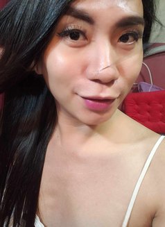 Ts Francine - Transsexual escort in Angeles City Photo 1 of 6