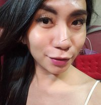 Ts Francine - Transsexual escort in Angeles City