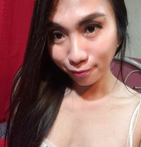 Ts Francine - Transsexual escort in Angeles City