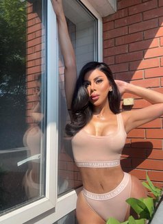 Ts Galichi - Transsexual escort in Paris Photo 24 of 27