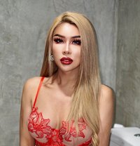 TS GiGi Good Cock Thai massage - Transsexual escort in Taipei Photo 25 of 30