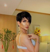 Ts Girl Seville Xxl - Transsexual escort in Dubai