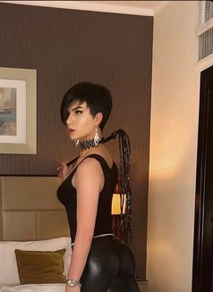 Ts Girl Seville Xxl - Transsexual escort in Dubai Photo 10 of 10