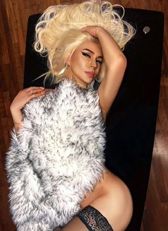 Ts Girl Victoria - Transsexual escort in Dubai Photo 8 of 16