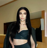 Ts. Girl Zara Xxl - Transsexual escort in Dubai