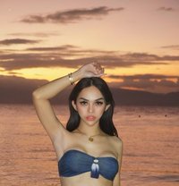 Ts Greta - Transsexual escort in Bangkok