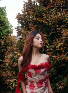 Ts Hannah - Acompañantes transexual in Makati City Photo 28 of 28