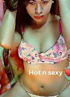 Ts Hard Fully Functional - Transsexual escort in Manila Photo 1 of 8