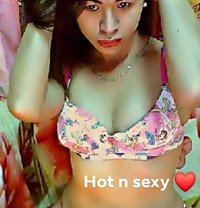 Ts Hard Fully Functional - Transsexual escort in Manila