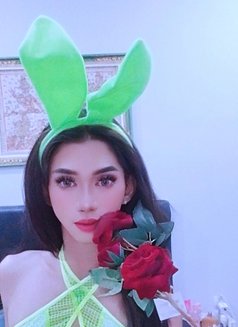 TS HardDick good Servc Bali Vers Top 🦋 - Transsexual escort in Bali Photo 27 of 28