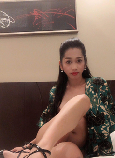Ts Hazel CAM SHOW send by Paypal - Transsexual escort in Hong Kong Photo 17 of 30