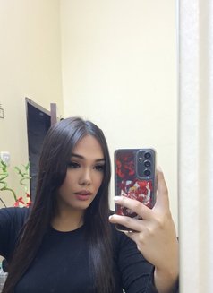 TS Heba / هبة ‎ - Transsexual escort in Al Ain Photo 1 of 17