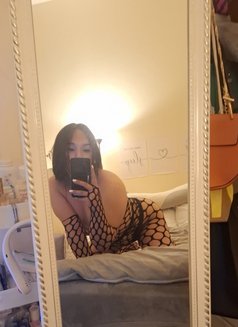 TS Heba / هبة ‎ - Transsexual escort in Al Ain Photo 4 of 17