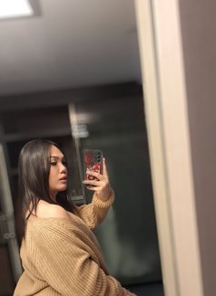 TS Heba / هبة ‎ - Transsexual escort in Al Ain Photo 15 of 17
