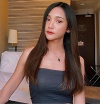 Outcall BKK - Transsexual escort in Bangkok