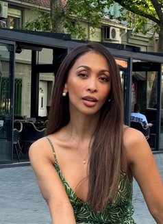 TS Jamaica - Transsexual escort in Dubai Photo 17 of 17