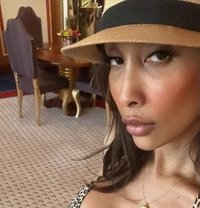 TS Jamaica - Transsexual escort in Montenegro