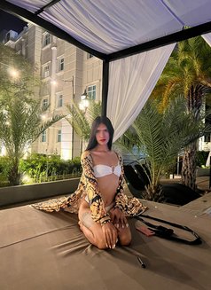 Ts Jamilah - Transsexual escort in Manila Photo 8 of 9