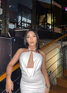 🦄 TS Jasmine available 🦄 - Transsexual escort in Abu Dhabi Photo 13 of 13